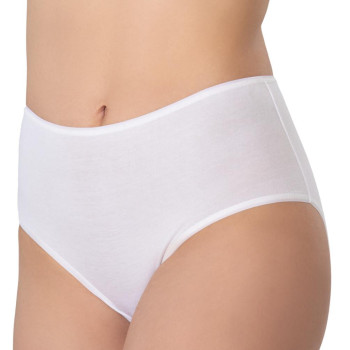 BEYAZ MI Emay 1442 Modal Coton Yüksekbel Külot