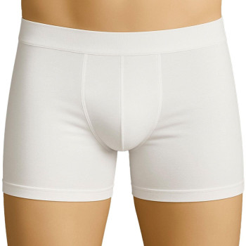 BEYAZ MI Emay 6800 Erkek Boxer
