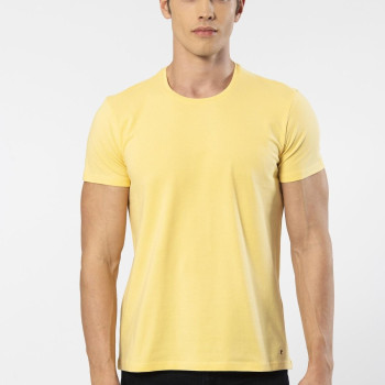 Cacharel Erkek Bisiklet Yaka Likrali T-shirt 1331/Sarı