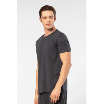 Cacharel Erkek Bisiklet Yaka T-shirt 2169/Antrasit