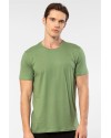 Cacharel Erkek Bisiklet Yaka T-shirt 2169/Yeşil Cacharel Erkek Bisiklet Yaka T-shirt 2169/Yeşil