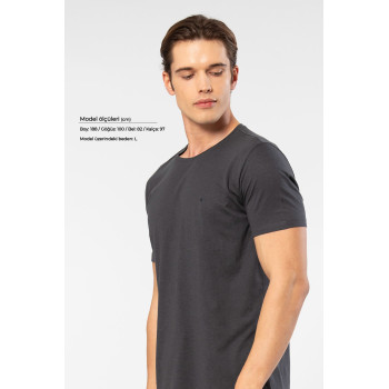 Cacharel Erkek Bisiklet Yaka T-shirt 2169/Antrasit
