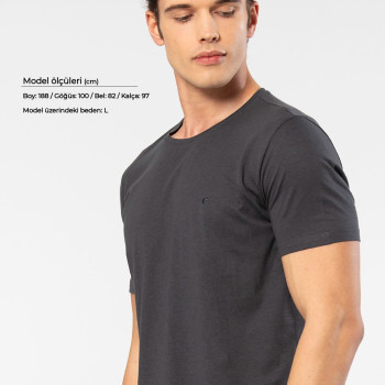 Cacharel Erkek Bisiklet Yaka T-shirt 2169/Antrasit