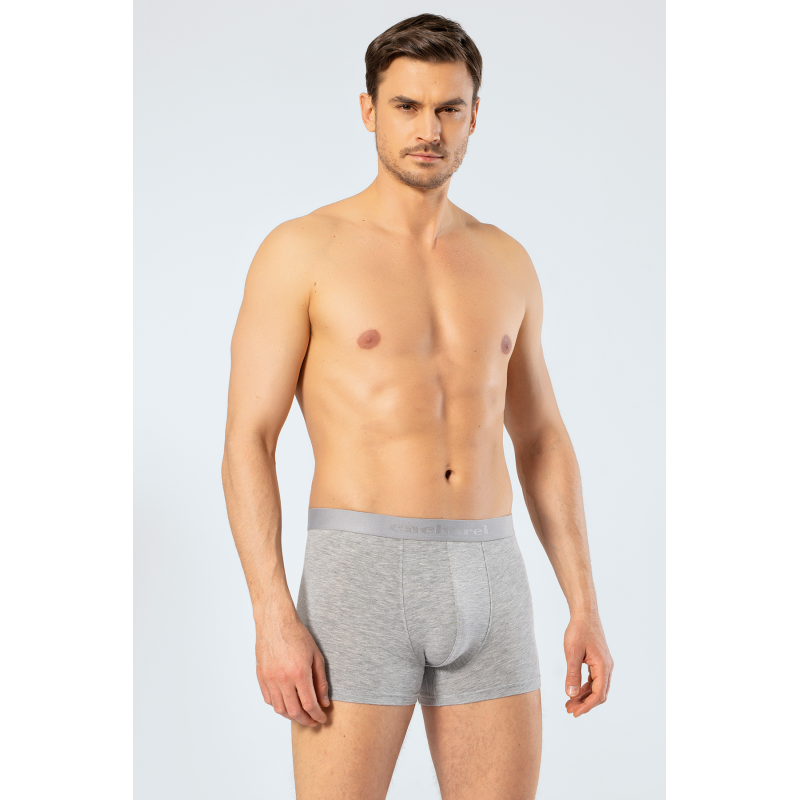 Cacharel Erkek Boxer 1405/Gri