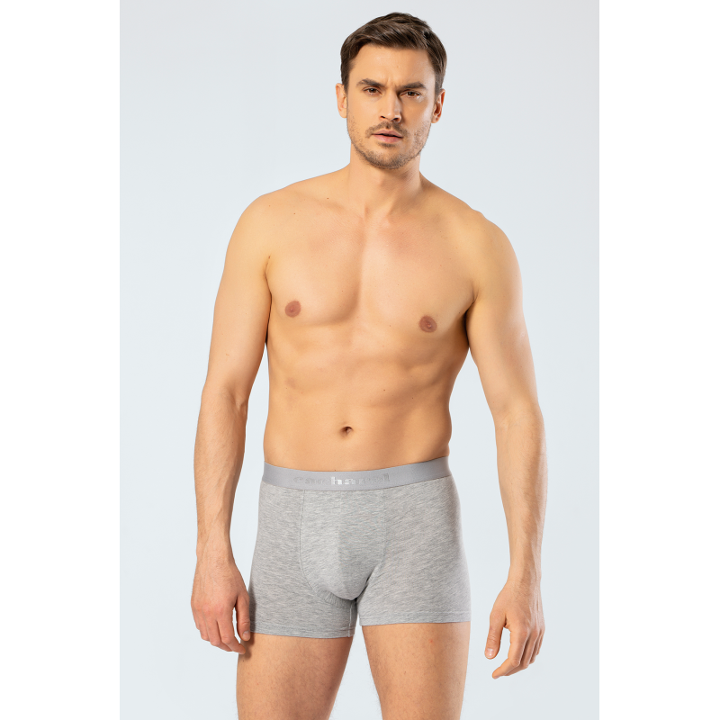Cacharel Erkek Boxer 1405/Gri