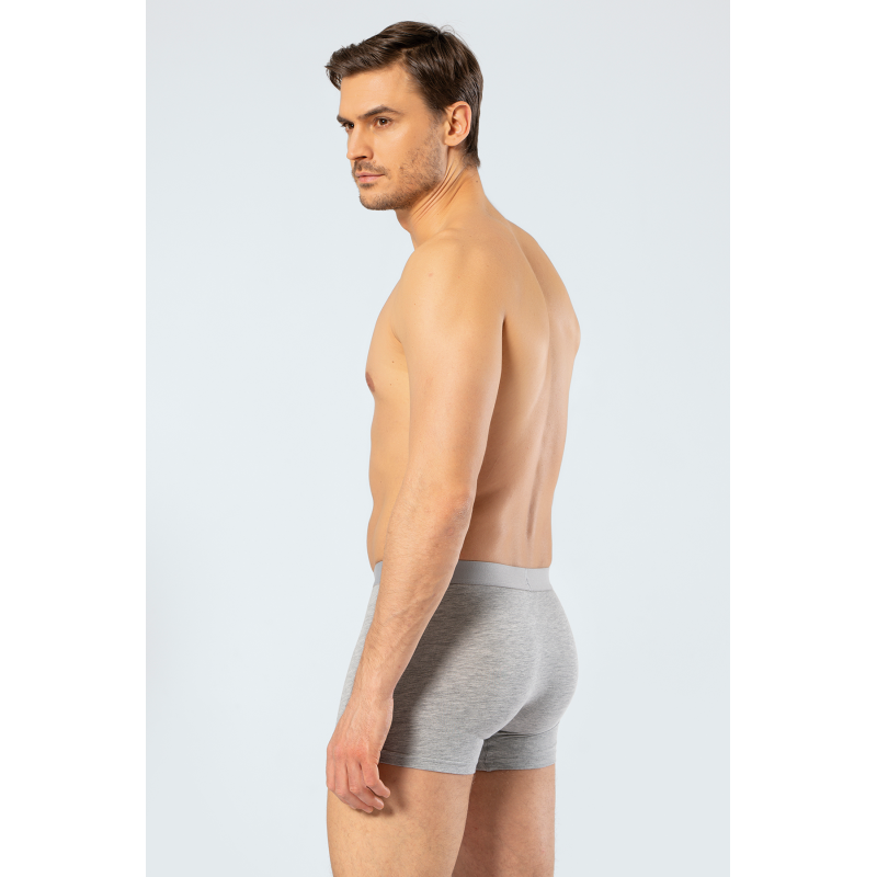 Cacharel Erkek Boxer 1405/Gri