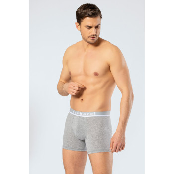 Cacharel Erkek Likrali Boxer 1315/Gri