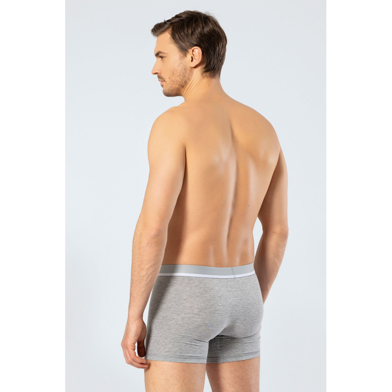 Cacharel Erkek Likrali Boxer 1315/Gri