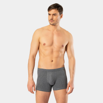 Cacharel Erkek Likrali Boxer 1335/Antrasit