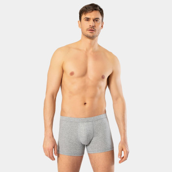 Cacharel Erkek Likrali Boxer 1335/Gri