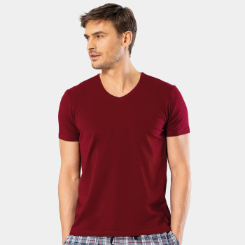 Cacharel Erkek V Yaka Likrali T-shirt 1332/Bordo