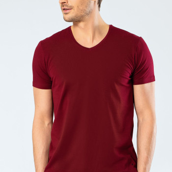 Cacharel Erkek V Yaka Likrali T-shirt 1332/Bordo