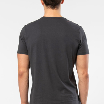 Cacharel Erkek V Yaka T-shirt 2170/Antrasit