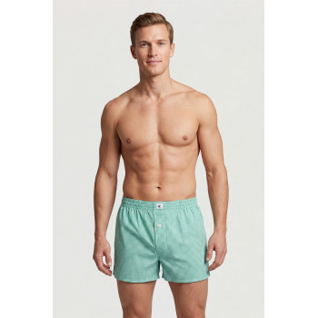 Cacharel Poplin Boxer Erkek 1113/Kareli Yeşil
