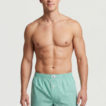 Cacharel Poplin Boxer Erkek 1113/Kareli Yeşil