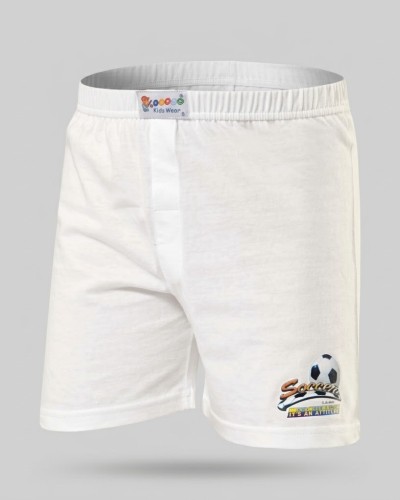 Çocuk Baskili Boxer (2'li Paket) 423