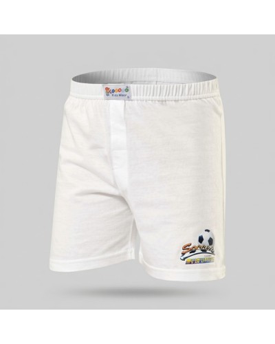 Çocuk Baskili Boxer (2'li Paket) 423