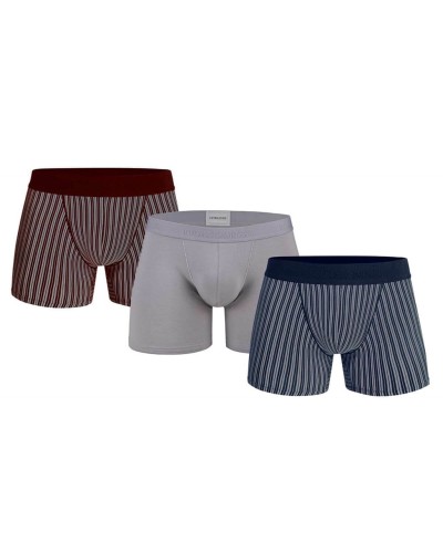 Doreanse Erkek 3 Lü Boxer 1867 - Lacivert-Bordo-Gri