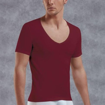 Doreanse Erkek Modal Derin V Yaka Kısa Kol T Shirt 2820 Bordo