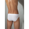 Doreanse Erkek Modal Slip Külot 1205