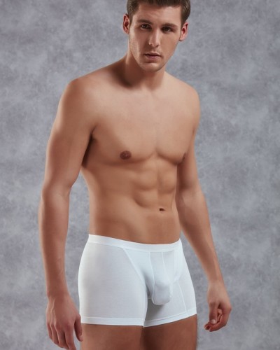 Doreanse Beyaz Erkek Modal Torbalı İnce Bel Bantlı Normal Paça Boxer 1770 Doreanse Beyaz Erkek Modal Torbalı İnce Bel Bantlı Normal Paça Boxer 1770