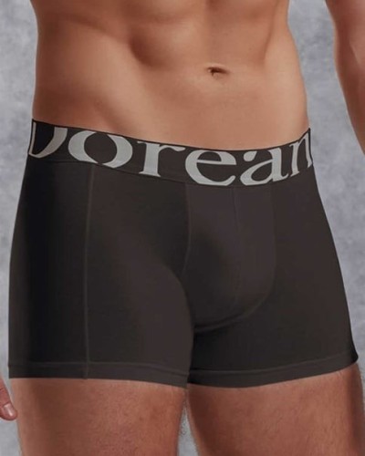 Doreanse Füme Erkek Modal Torbalı Normal Paça Boxer 1777
