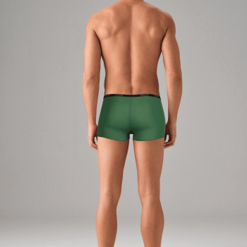 Doreanse Yeşil Erkek Polyamid Mini Paça Boxer 1590