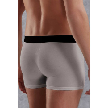 Doreanse Gri Erkek Modal Torbalı Normal Paça Boxer 1777