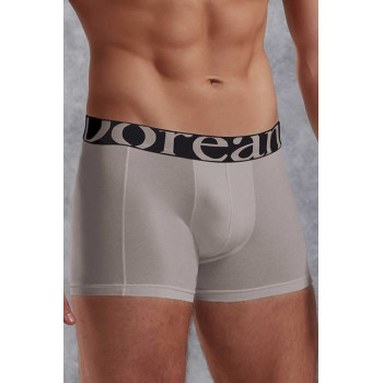Doreanse Gri Erkek Modal Torbalı Normal Paça Boxer 1777