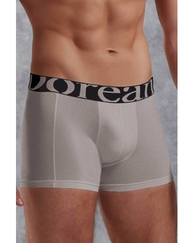 Doreanse Gri Erkek Modal Torbalı Normal Paça Boxer 1777
