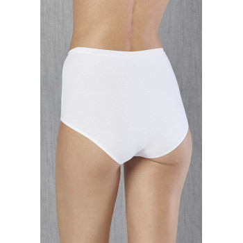 Doreanse Kadın İnce Zarif Pamuk Kumaş Yüksek Bel Slip Külot 7119