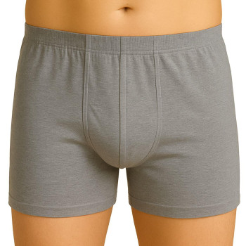 GRİ MI Emay 6810 Arjantin Erkek Boxer